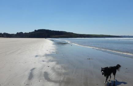 Les Hirondelles - Foto 48