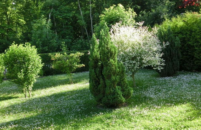 Family-friendly Escape - Photo 40