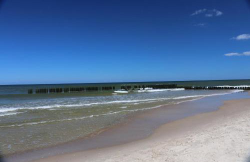 Lux Apartamenty - Rybitwa - Foto 12