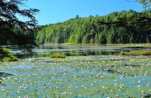 Vermont Ski Home Lake Home - Foto 45