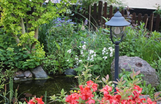 Cosy Apartment in the Harz Mountains - Foto 28