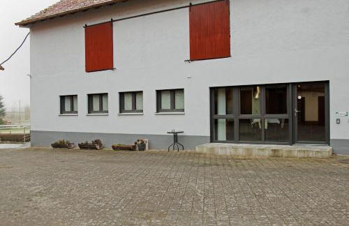 Maiglöckchen - Foto 23