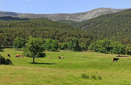 El Retiro de la Adrada AVILA - Foto 20