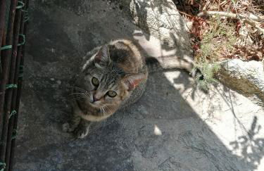 Studio bord de mer équipé air conditionné 1min de la plage - Foto 30