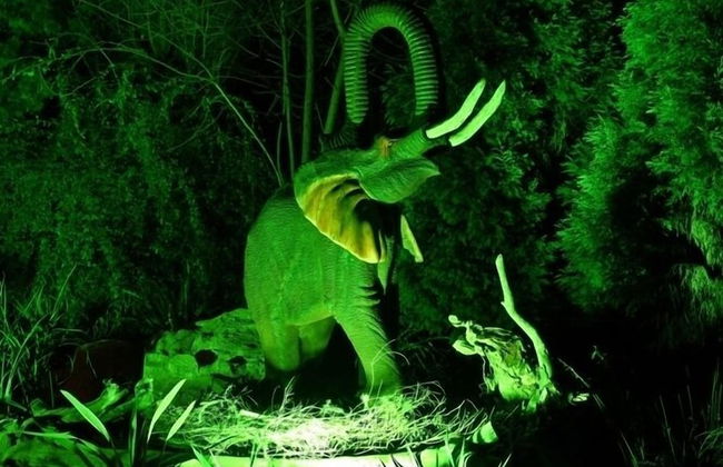 Pine Tree Lodge - Foto 51