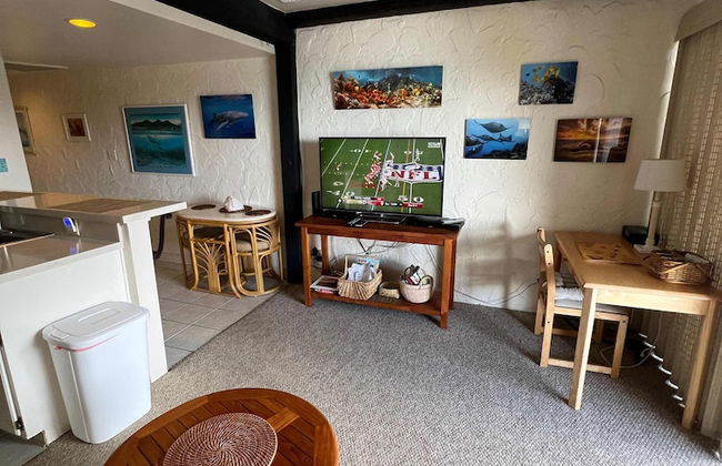 Casa De Emdeko Condo w/ Pool A/C & Ocean Views - Foto 13