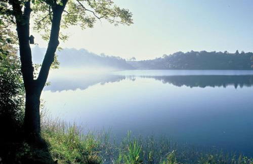 Ferienwohnungen Maarberg Resort - Foto 84