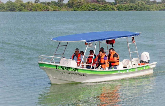 Paseo en barco privado por los Pantanos de Centla - Foto 8