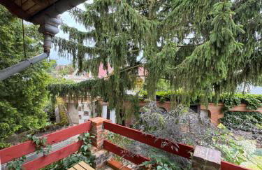 Pokoje pod winogronami - Foto 22