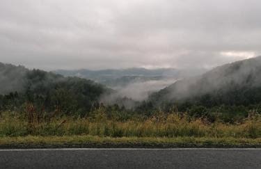 Lisi Zakątek - Foto 44