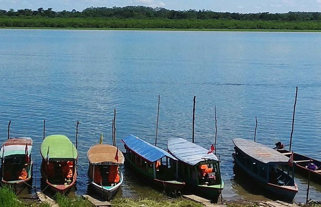 Yarinacocha & Pacacocha Lakes Excursion - Photo 1