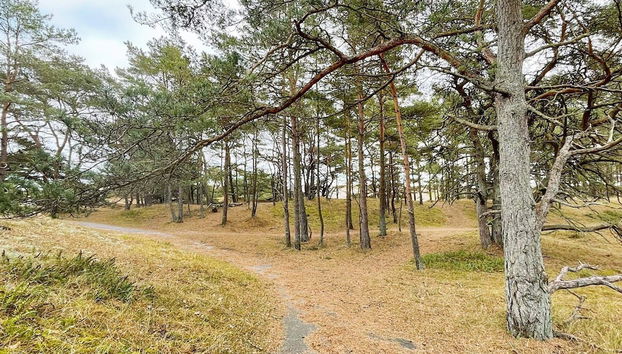 8 Person Holiday Home in Yngsjo-by Traum - Foto 3, Zimmer