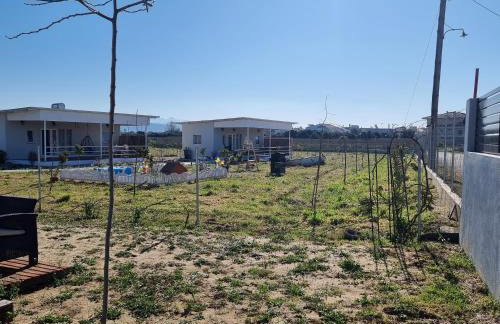 Agroktima Arta - Farm Stay - Foto 39