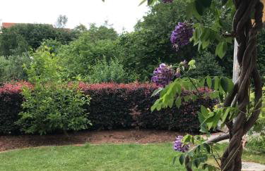 Frankenberg-am-Wald Frankenberg an der Eder - Foto 13