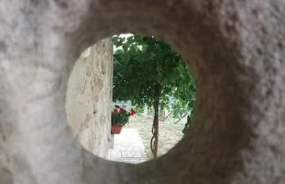 Agriturismo Torre Gialluise - Photo 30