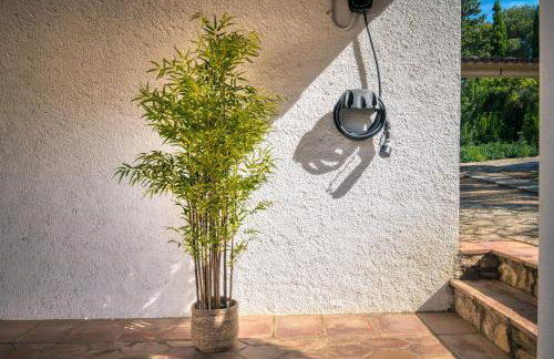 Mas Tomasi 264 - Foto 27