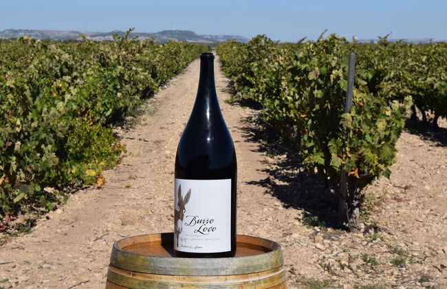 Concejo Bodegas Tour - Photo 2