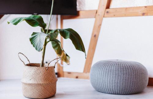 Wohnung am Bodensee - Foto 9