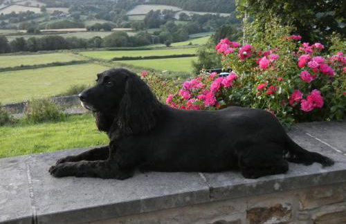 The BungalowBarlow - Foto 29