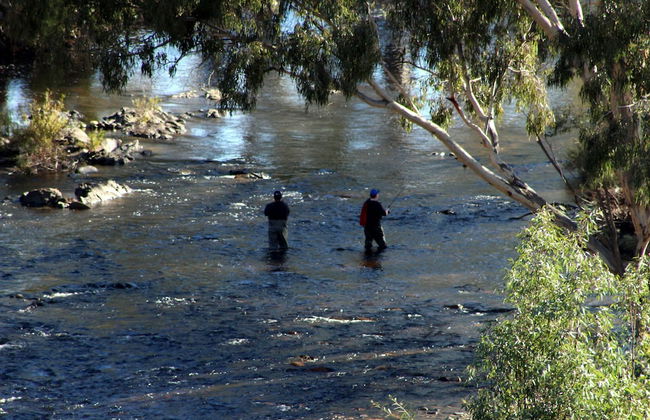 Elm Cottage - Foto 23