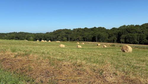 Charmante maison Landaise - Foto 3