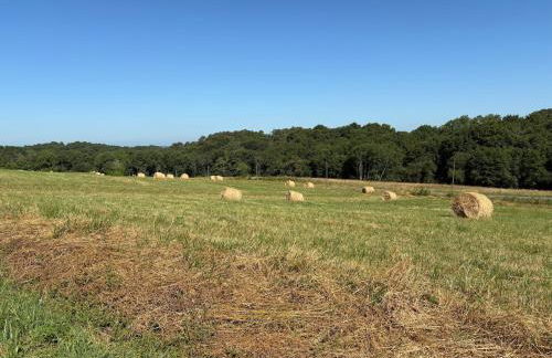 Charmante maison Landaise - Foto 3