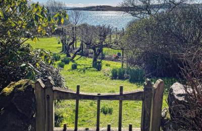 Stunning Period Townhouse with Garden, Walking Distance to Town - Photo 61