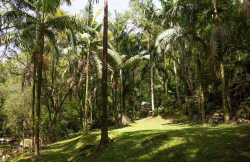 Canto da cascata - Foto 37