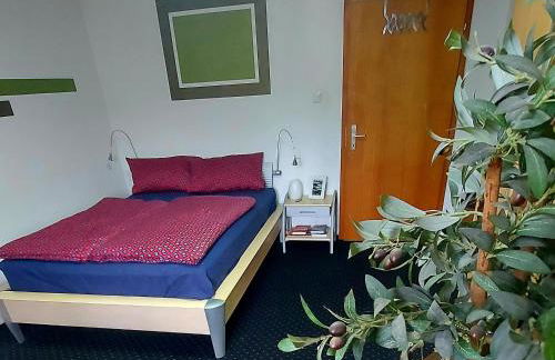 Über den Dächern von Furth im Wald - Foto 11