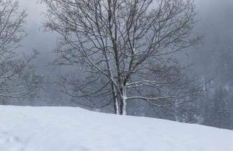 Hotel Chalet du Bon Air - Foto 3