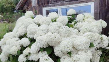 Gemütliche Wohnung im Retrostil - Foto 2