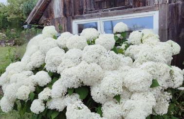 Gemütliche Wohnung im Retrostil - Foto 2