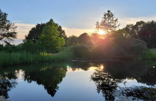 Deelenwohnung - Foto 12