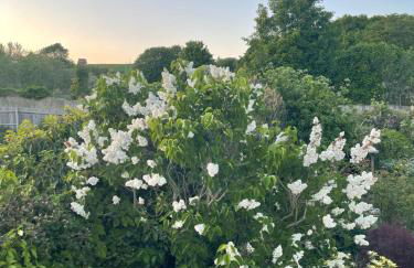 Sompting Village - Close to sea and South Downs - Photo 35