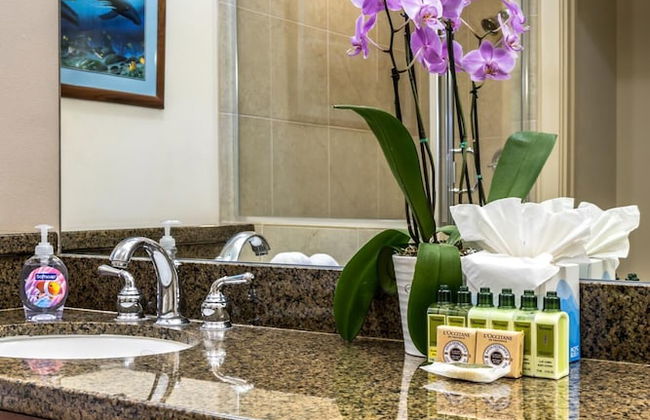 Halii Kai HLI-19G by KBM - Foto 50