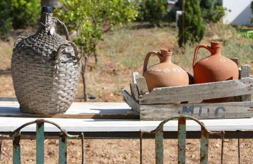 Pensão Agrícola - Foto 22