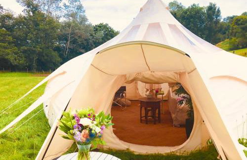 Hilly Haven & Luxury Wagon in the Forest of Dean - Foto 54