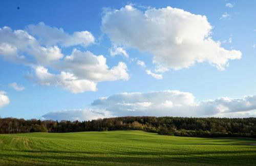 Ferienwohnung Alte Schule Chorin Schorfheide - Foto 13