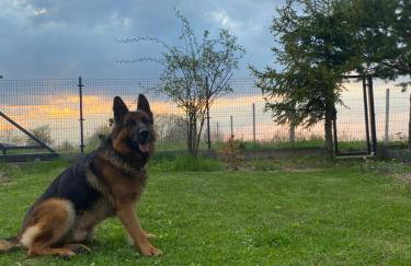 Lawendowy Domek TP - Foto 35