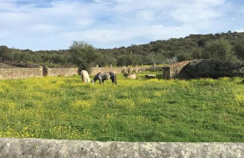 Casa rural La Tahona del abuelo TR CC 00344 - Foto 79