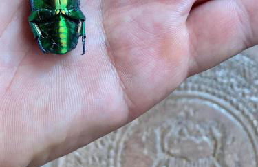 Casa Tincana - Foto 55