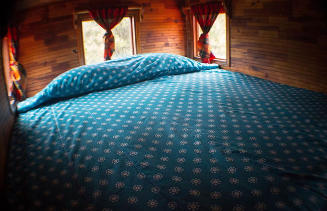 Los Vagones Cabañas Restaurante Bar - Photo 16