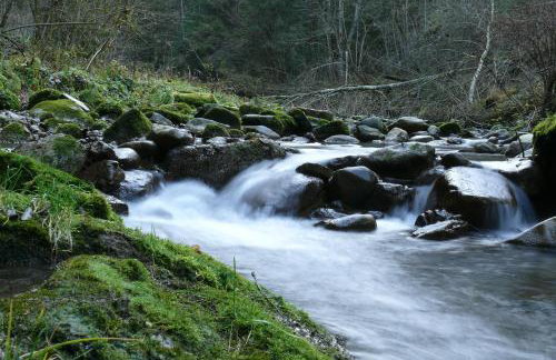 Ferienwohnung Engelhardt - Foto 20