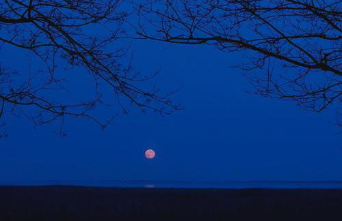 Ferienhaus am Gutspark 3, Klausdorf, ca 250 m bis zur Badestelle - Foto 30