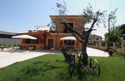 Azienda Agrituristica La Tenuta del Falco - Foto 8