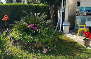 Summer House Dabovi - Foto 14