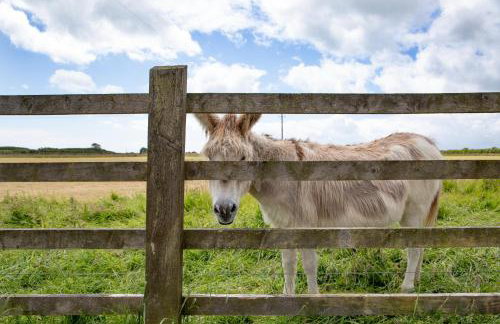Higher Thorn Barn - Foto 30