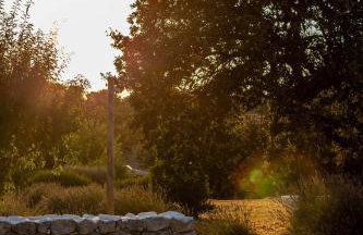 Trullo Dimora Podere Papilio - Foto 35