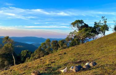 Sítio das montanhas - Foto 6