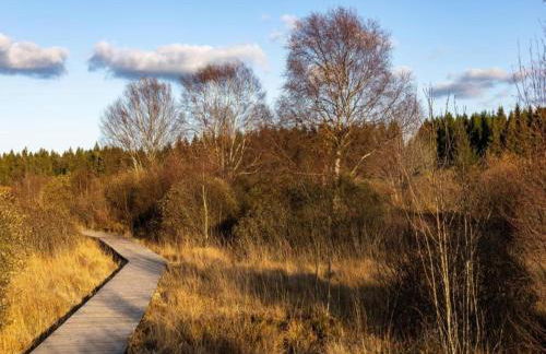 Eschfeld Sauna Apartment - Foto 68